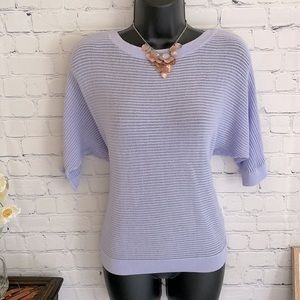 Express Periwinkle Light Short Sleeve Knit Sweater